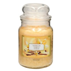 ΑΡΩΜΑΤΙΚΟ ΒΑΖΟ Vanilla 510g