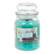 ΑΡΩΜΑΤΙΚΟ ΒΑΖΟ Pure Cotton 510g ΑΡΩΜΑΤΙΚΟ ΒΑΖΟ Pure Cotton 510g